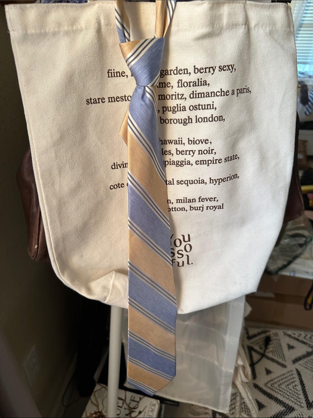 High end brand Pierre Cardin Blue and Beige Striped Men's Tie